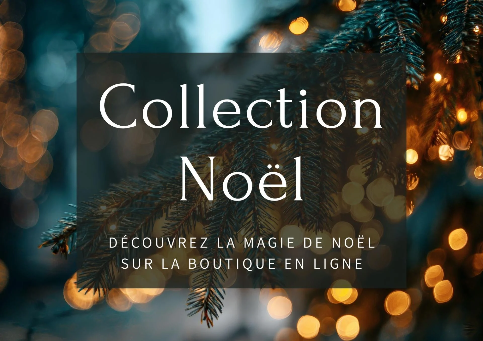 Intro site internet copie