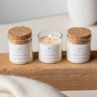 Offret nuit de noe l 3 bougies artisanales parfume es a la cire de soja naturelle fore t de sapins au coin du feu et pain d e pices 3