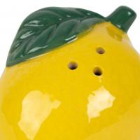 Saliere et poivriere citron plateau gre s 04